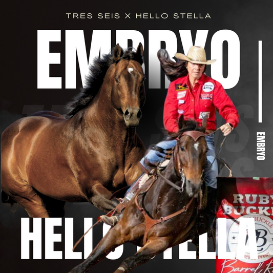 Tres Seis X Hello Stella