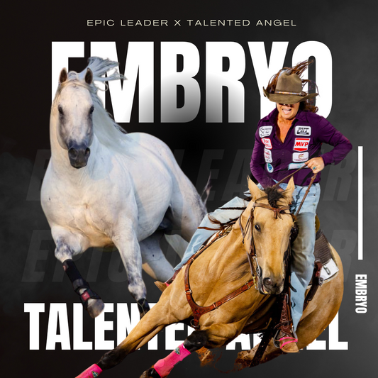 SOLD Epic Leader X Talented Angel