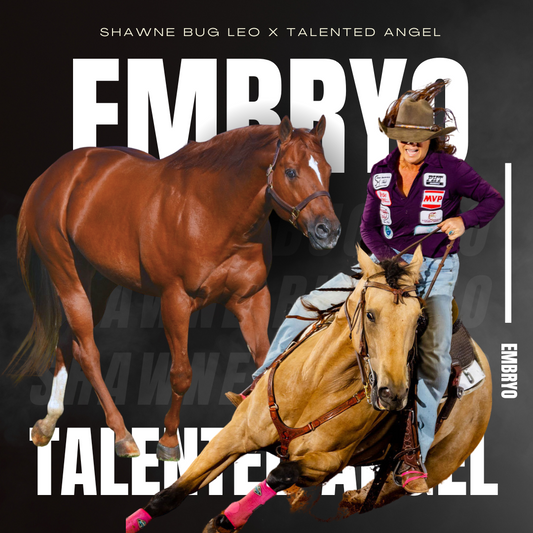 Shawne Bug Leo X Talented Angel