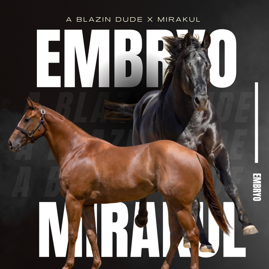 A Blazin Dude X Mirakul