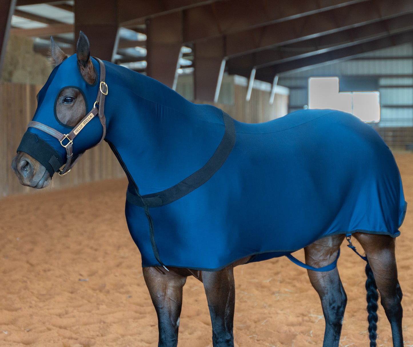 Navy Full Body Slicker