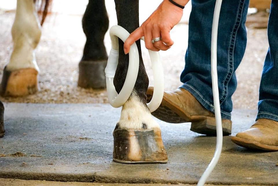 Small 9" Double Butterfly Attachment