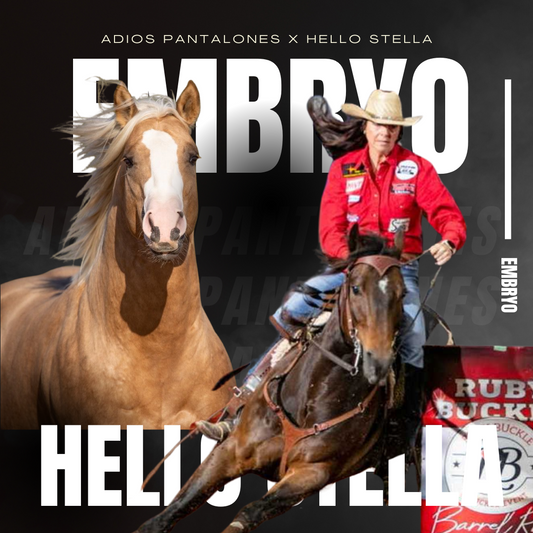 Adios Pantalones X Hello Stella Embryo