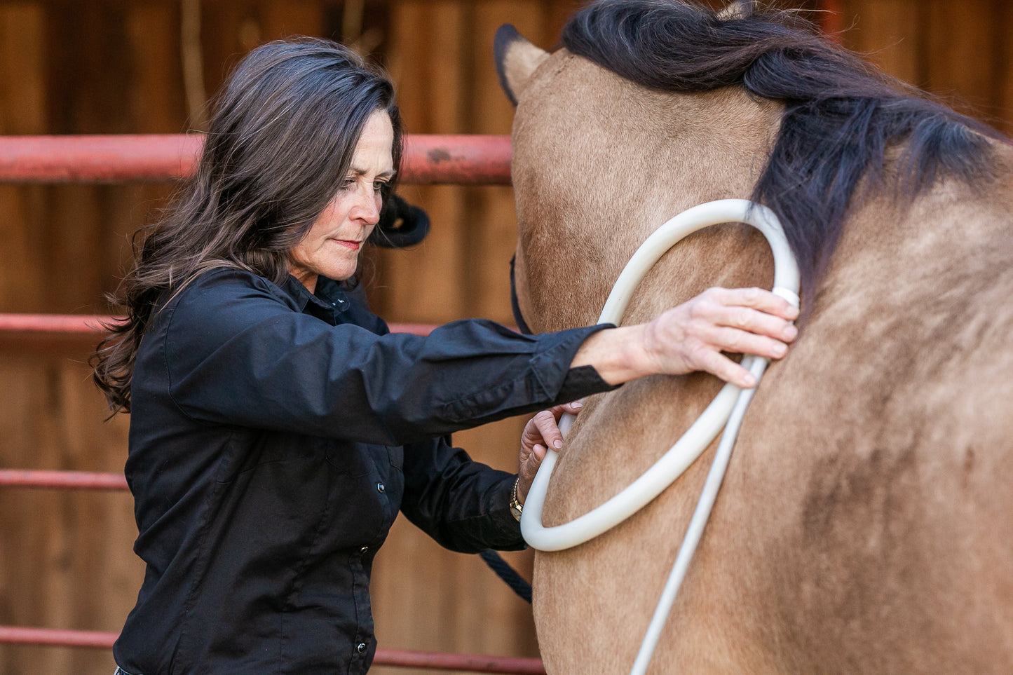 Single Large Loop Attachment