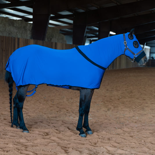 Royal Blue Full Body Slicker