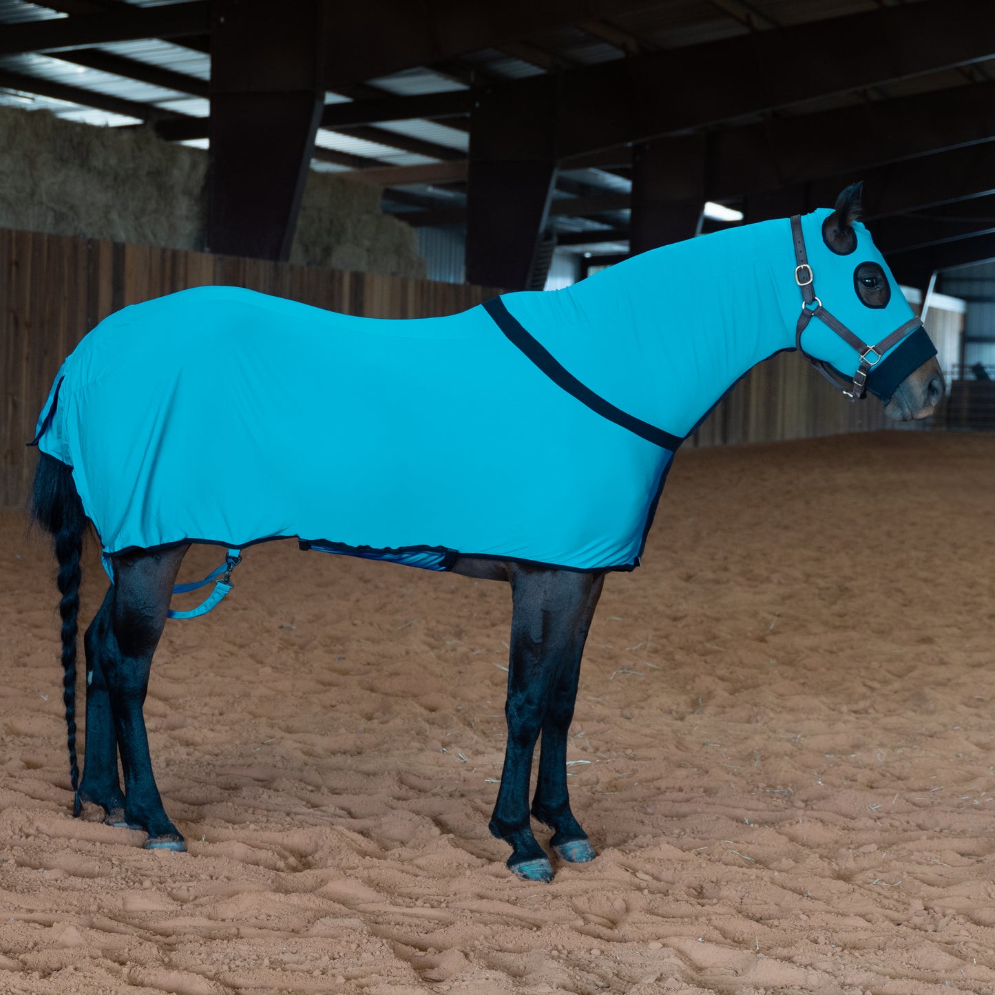 Turquoise Full Body Slicker