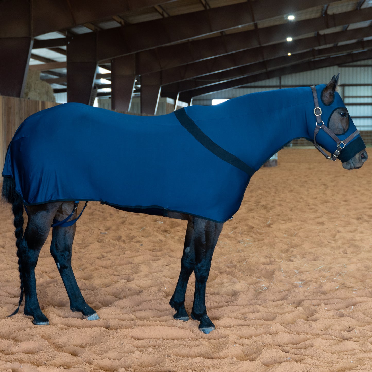 Navy Full Body Slicker