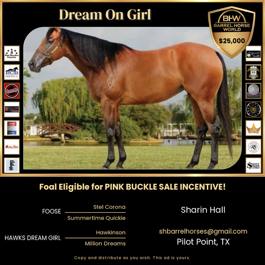 Dream On Girl in foal to Slick By Design