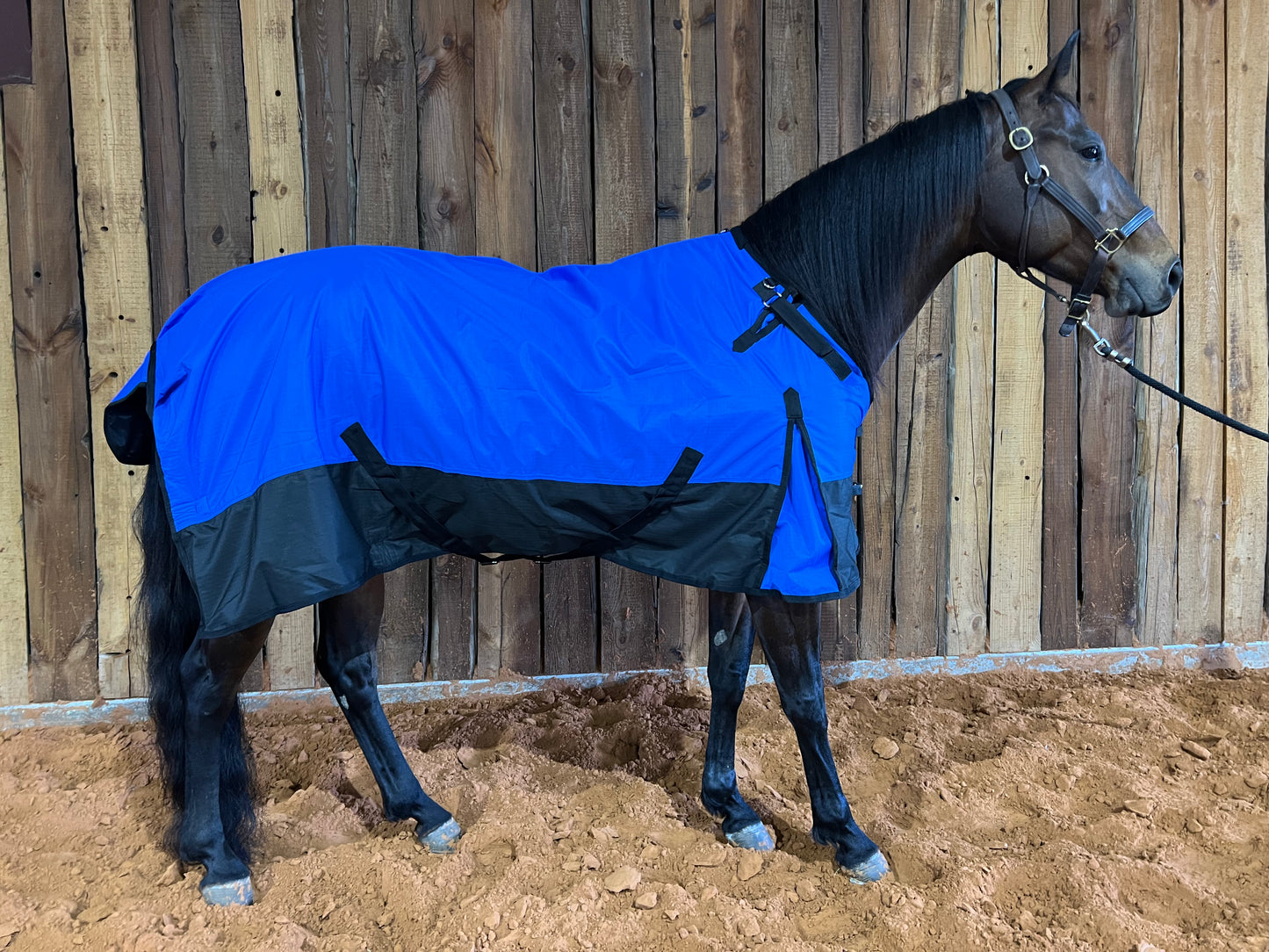 ProSeries Tack 600D Medium Heavyweight Blanket